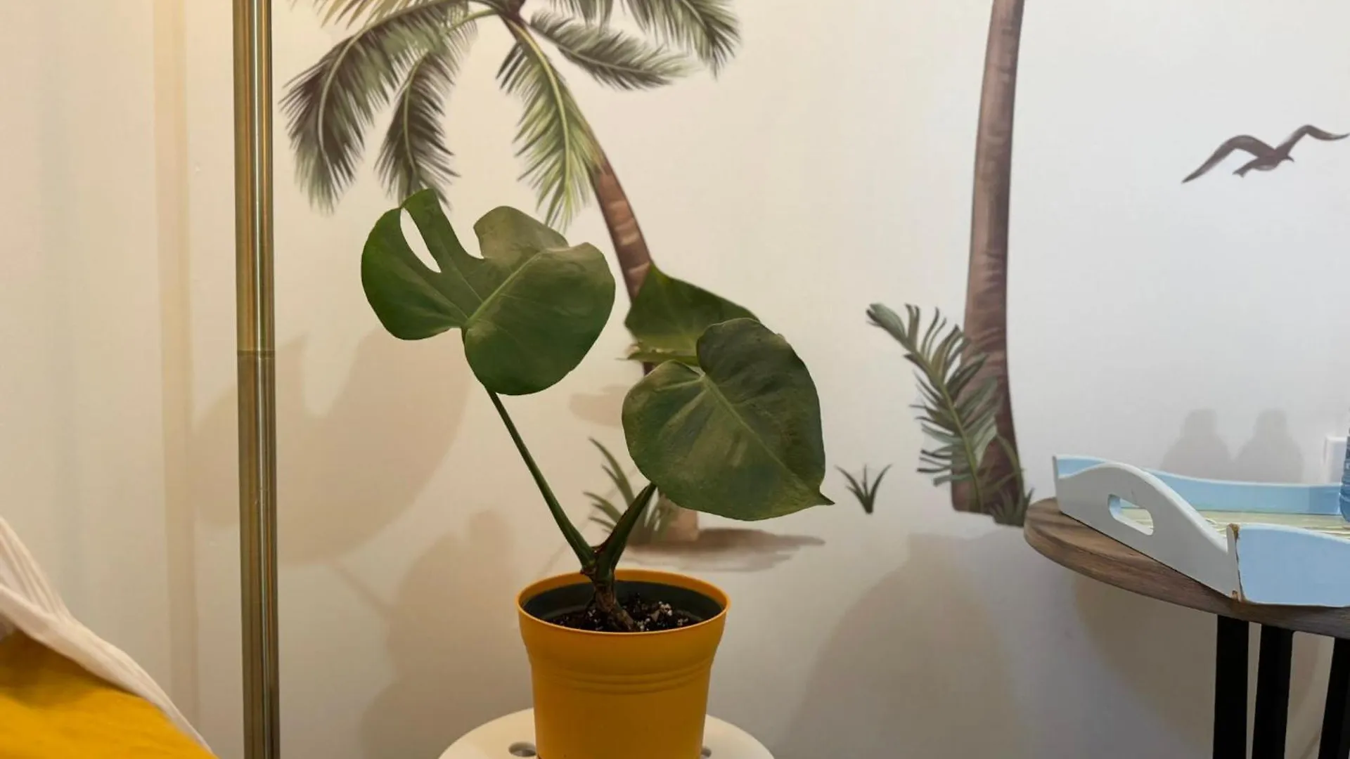 Sunrise Bnb - Free Parking Toronto